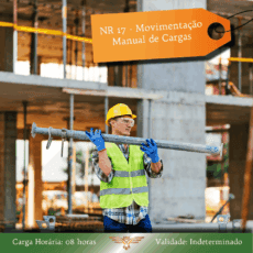 NR 17 - Movimentação Manual de Cargas