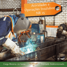 Curso de NR 15 - Atividades e Operações Insalubres - 20 horas