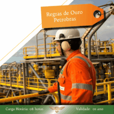 Curso de Regras de Ouro - 08 horas