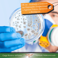 Curso de NR 09 - Avaliação e Controle das Exposições Ocupacionais a Agentes Físicos, Químicos e Biológicos - 08 horas