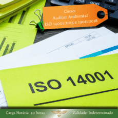 Curso de Formação de Auditor Ambiental: ISO 14001:2015 + 19011:2018 - 40 Horas