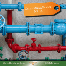 Curso de Multiplicador NR 26 - Segurança no Manuseio de Produtos Químicos e Sinalização de Segurança - 40 horas