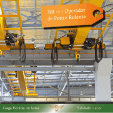 Curso de NR 11/NR 12 - Operador de Ponte Rolante - Formação Inicial - 16 horas (Em Inglês)