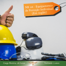 Curso de NR 06 – EPI – 08 horas (Em Inglês)