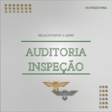 AUDITORIA INSPEÇÃO