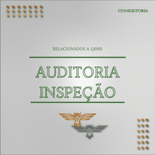 AUDITORIA INSPEÇÃO