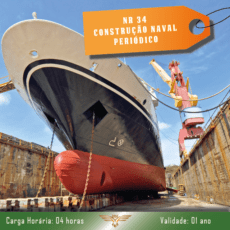 NR 34 - Construção, Reparação e Desmonte Naval - Periódico