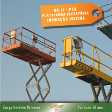 NR 11 - Operador de Plataforma Elevatória - PTA - Formação Inicial