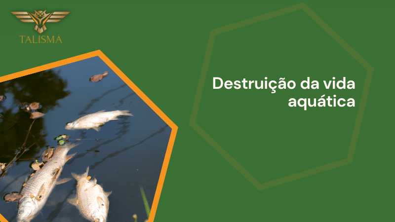 Destruição da vida aquática