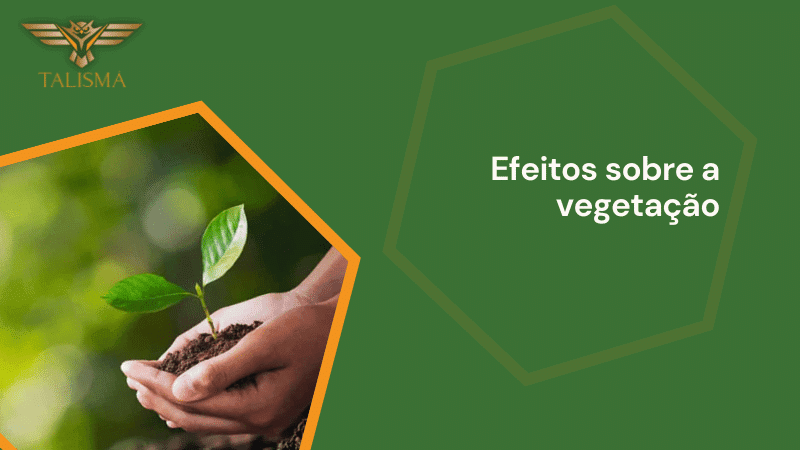 Efeitos sobre a vegetação