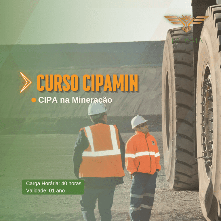 Consultoria em QSMS e Treinamentos NR 11 -