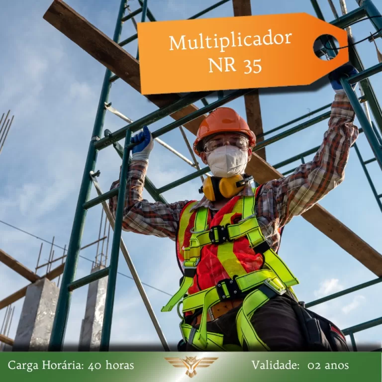 Consultoria em QSMS e Treinamentos NR 11 -