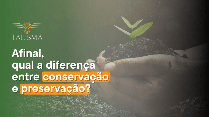 Imagem de mãos segurando um punhado de terra com uma planta. Ao lado, há o texto “Afinal, qual a diferença entre conservação e preservação."