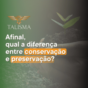 Imagem de mãos segurando um punhado de terra com uma planta. Ao lado, há o texto “Afinal, qual a diferença entre conservação e preservação."