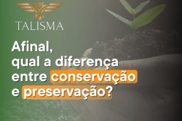 Imagem de mãos segurando um punhado de terra com uma planta. Ao lado, há o texto “Afinal, qual a diferença entre conservação e preservação."