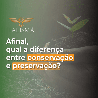 Você provavelmente já se perguntou qual a diferença entre esses dois termos ou então achou que eles significavam a mesma coisa. Essas duas palavras, apesar de parecerem sinônimas, trazem consigo significados diferentes e muito importantes para a conscientização ambiental.