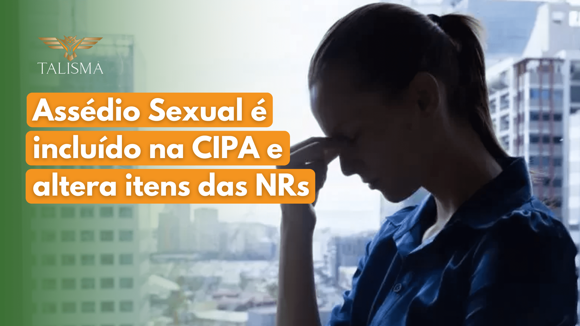 Assédio Sexual é incluído na CIPA e altera itens das NRs