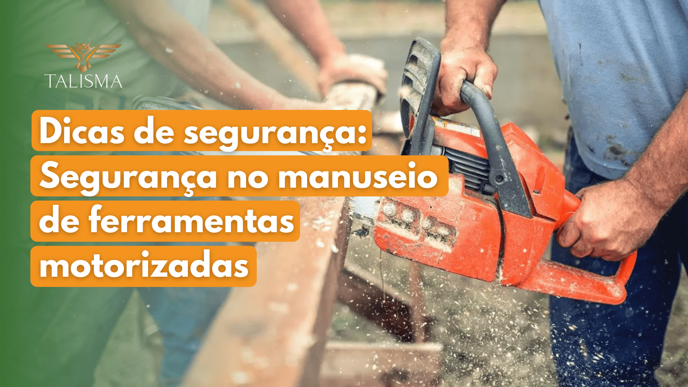 <strong>Segurança no manuseio de ferramentas motorizadas – Dicas de Segurança</strong>