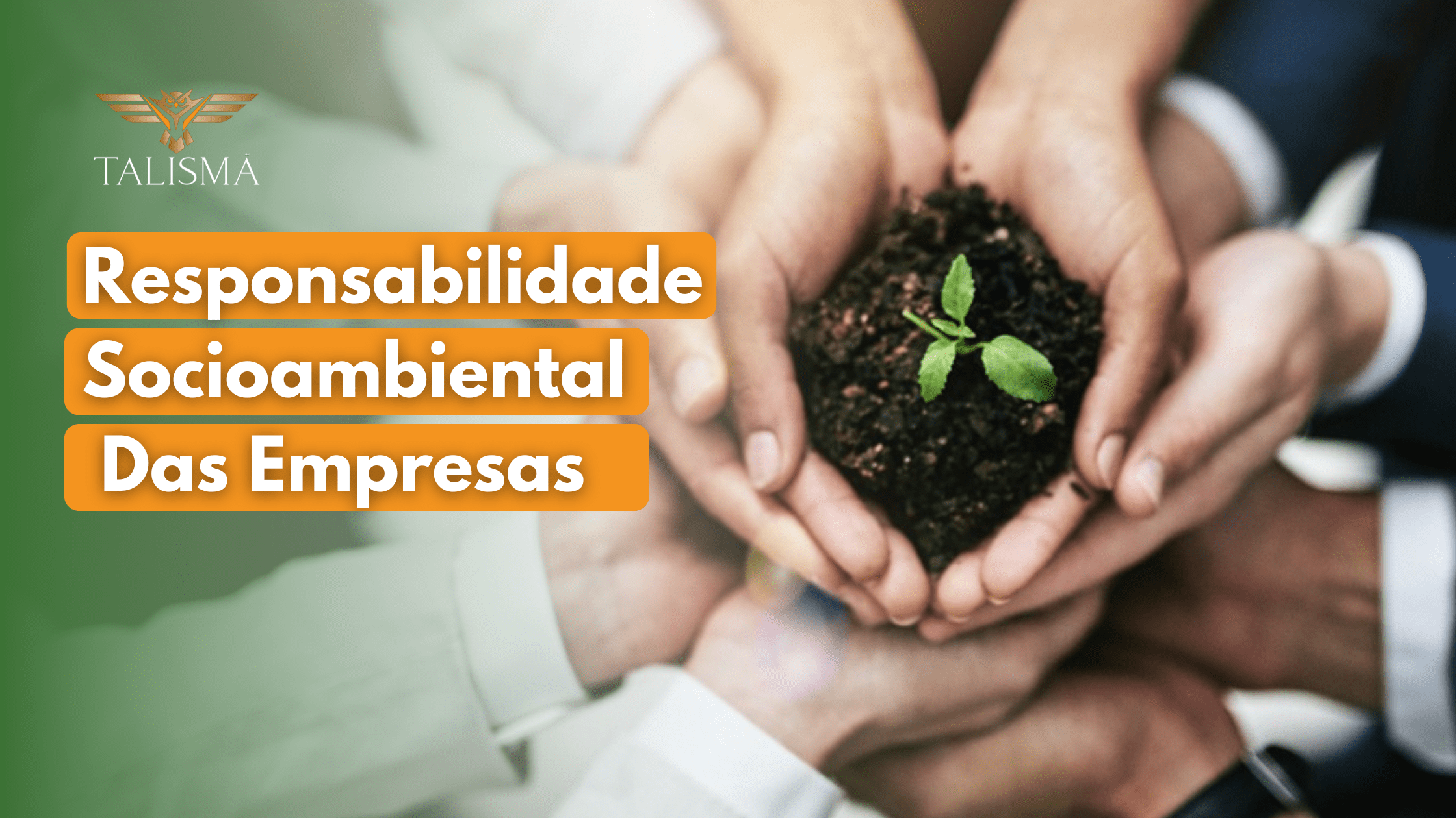 <strong>Responsabilidade Socioambiental Das Empresas</strong>