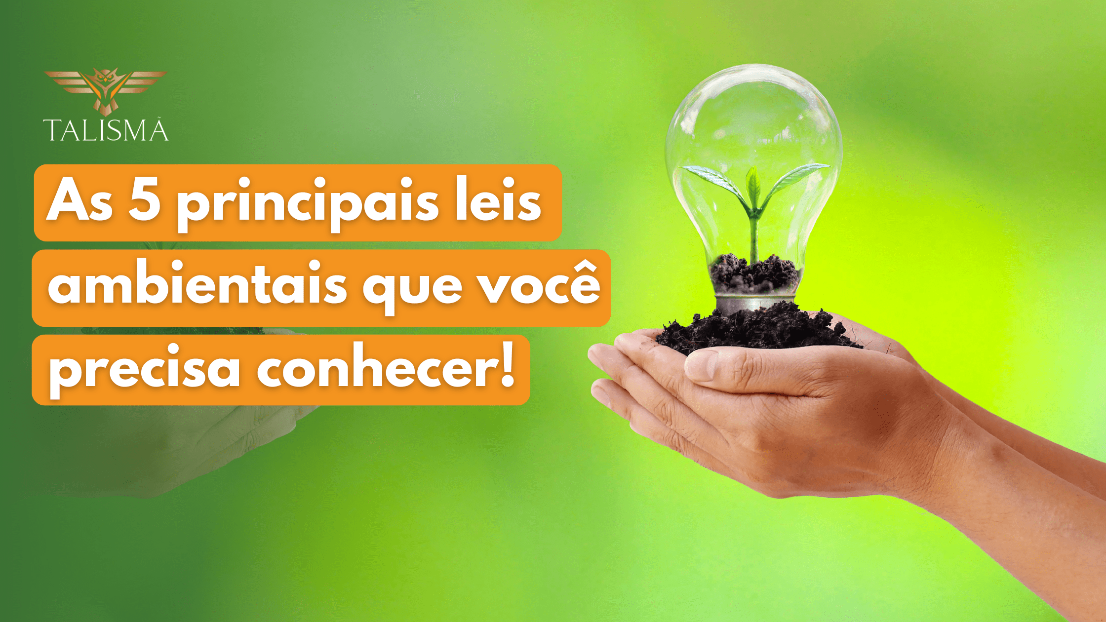 As 5 principais leis ambientais que você precisa conhecer!