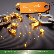 NR 12 - Multiplicador