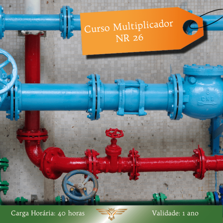 Consultoria em QSMS e Treinamentos NR 11 -