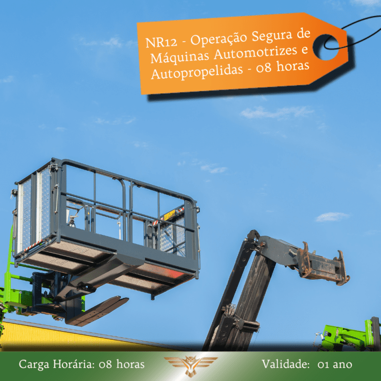 Consultoria em QSMS e Treinamentos NR 11 -